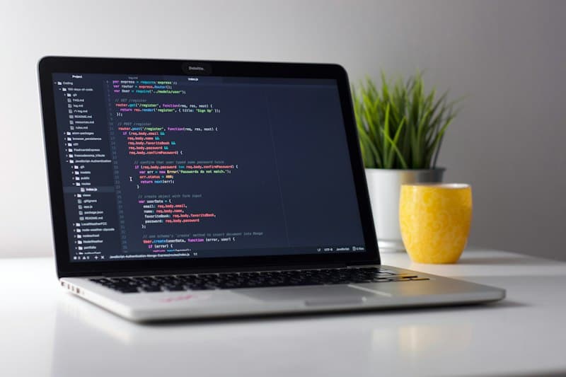Developer workstation and programming environment